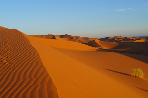 Erg Chebbi Dünen Wüstencamp - nach Sonnenaufgang
