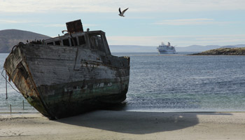 Coffin's Bay - New Island - Falklandinseln