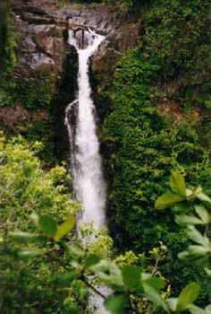 Makahiku und Waimoku Wasserfälle Maui / Hawaii