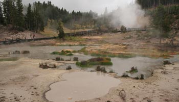 Mud Volcano Area - Yellowstone 