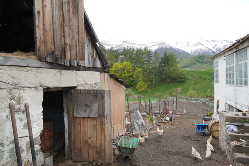 Dorf Fioletovo
