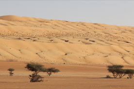 Wahiba-Wüste