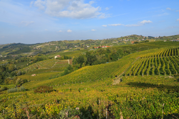 Weinanbaugebiet Barolo