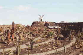 Kaktusgarten - Jardin de Cactus 