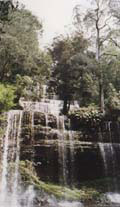 Russell Falls im Mount Field National Park