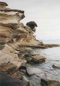 Painted Cliffs - Maria Island